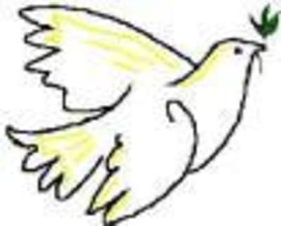 Pace b9ioy9 - Eugenol