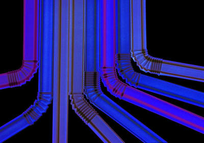 Paille 1 d v7lxxe - Eugenol
