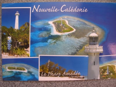 Paradis vjuids - Eugenol