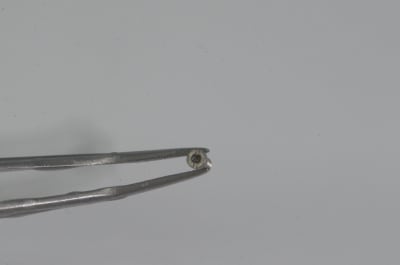 Pbngnsx6qswojuo7zsbv - Eugenol