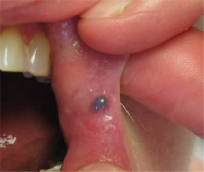 Petite boule bleue fvkpkn - Eugenol