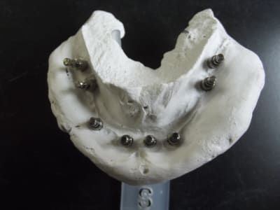 Photo 1 nozatl - Eugenol