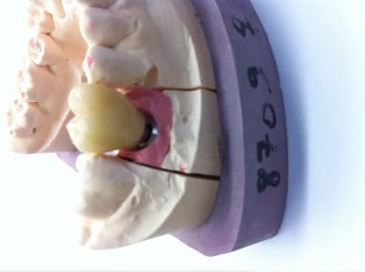 Photo 4 gilaf6 - Eugenol