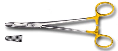 Porte auguille 1 ghp7mw - Eugenol