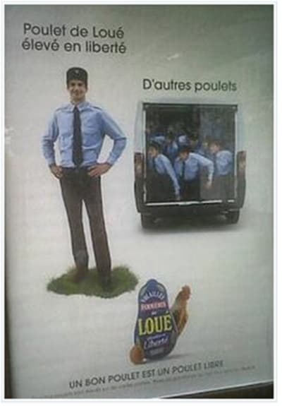 Pub ng771e - Eugenol