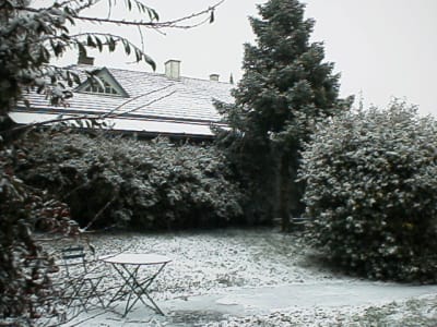 R0300003 meteur - Eugenol
