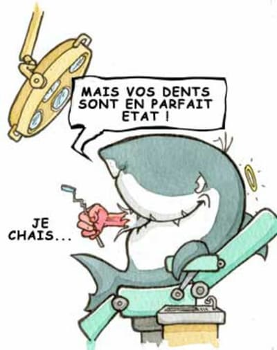 Requin bowgmc - Eugenol