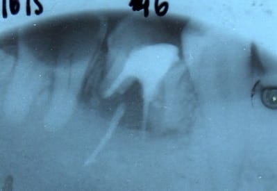 Rx 4605 p2xbdl - Eugenol