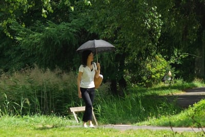 Sbkg  8  e6bzgh - Eugenol