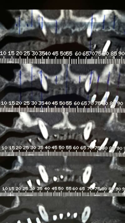 Scan3 h8nwri - Eugenol