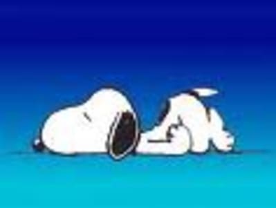 Snoopy sleep ndievg - Eugenol