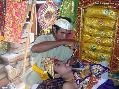 Teeth1 eln63g - Eugenol