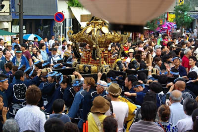 Tksk  207  niqxed - Eugenol