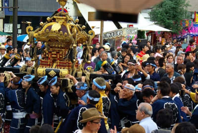 Tksk  211  t86ire - Eugenol