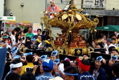 Tksk  217  ysubhr - Eugenol