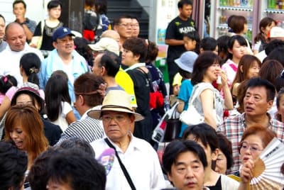 Tksk  232  wad8et - Eugenol