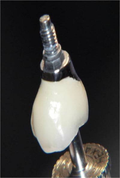 Transviss 2 ohfg41 - Eugenol