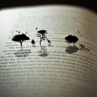 Travel and books cks7ld - Eugenol