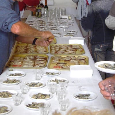 Vernissage1 b2akmn - Eugenol