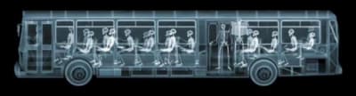 Xray bus orcyli - Eugenol