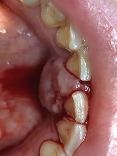 Yk2u8ntrf4dfuwafrrp3 - Eugenol