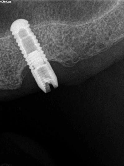 Yldoelqkrgzdrwdkygak - Eugenol