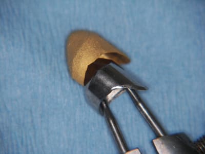 Z detail primaire et galano  1  ztjqnp - Eugenol