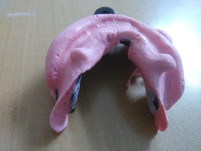 Zn89emalm41r3ic4joxd - Eugenol