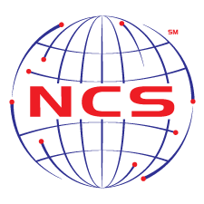 National Cyber Summit Logo