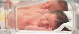 Two newborn babies lie next to each other in a neonatal incubator, wrapped in white blankets. Their eyes are closed, and they appear to be sleeping peacefully. The incubator has a clear plastic casing.