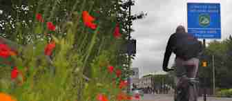 A cyclist rides on a path next to a road lined with bright red poppies. A sign ahead reads "Clean air zone 140 yards ahead. Charges apply. Pay online." Trees and buildings are visible in the background on a cloudy day.