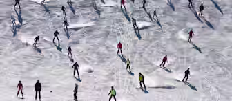A large group of skiers, with colorful clothing, are skiing down a snow-covered slope. The bright sunlight casts long shadows on the snow, creating a dynamic and lively scene as they navigate the terrain.