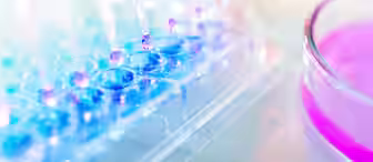 Close-up of a laboratory setup showing multiple pipettes dispensing liquid into a row of wells in a transparent microplate. A petri dish containing a pink liquid is visible in the background, both items resting on a lab bench. Bright, colorful lighting is used.