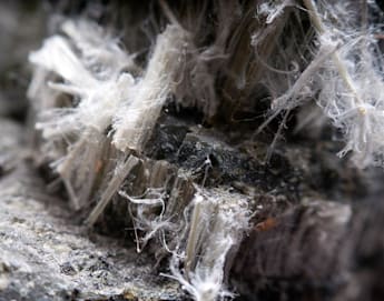 A close-up of fibrous asbestos mineral, showing numerous thin, white fibers extending from a rough, gray rock surface. The fibers appear delicate and fragile, entangled around the rocky texture.