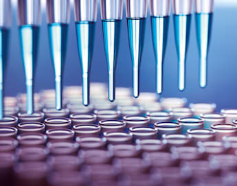 Close-up of multiple pipettes dispensing blue liquid into rows of small, transparent test tubes in a laboratory setting. The scene is well-lit, emphasizing the precision and sterility of the scientific equipment and process.