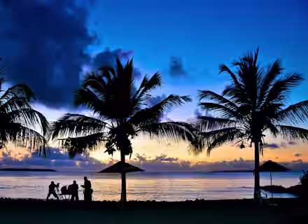 Silhouettes of four people enjoy a seaside sunset under tall palm trees. The sky transitions from blue to orange, reflecting on the calm ocean. Beach umbrellas dot the sandy shore, framed by the serene landscape.