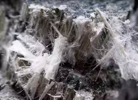 Close-up of fibrous white mineral strands, resembling asbestos, protruding from a rough, dark gray rock surface. The fibers appear delicate and are clustered in dense groups.