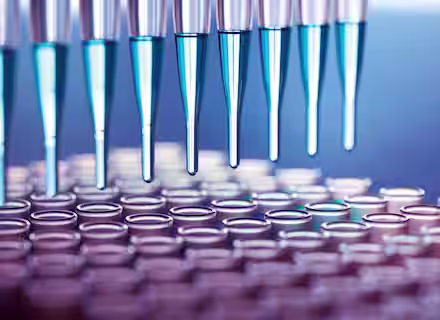 Close-up of multiple pipettes dispensing blue liquid into rows of small, transparent test tubes in a laboratory setting. The scene is well-lit, emphasizing the precision and sterility of the scientific equipment and process.