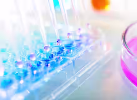 Close-up of a laboratory setup showing multiple pipettes dispensing liquid into a row of wells in a transparent microplate. A petri dish containing a pink liquid is visible in the background, both items resting on a lab bench. Bright, colorful lighting is used.