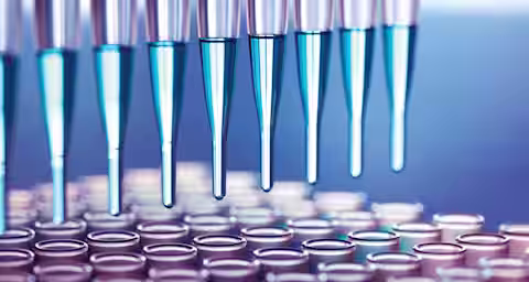 Close-up of multiple pipettes dispensing blue liquid into rows of small, transparent test tubes in a laboratory setting. The scene is well-lit, emphasizing the precision and sterility of the scientific equipment and process.