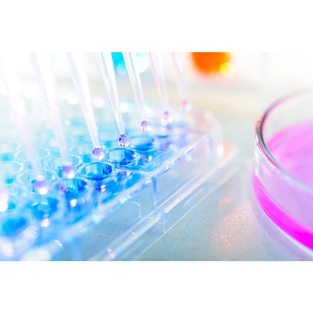 Life Sciences Team co-signed with Chambers for the Global Practice Guide Life Sciences - Vimarsana News