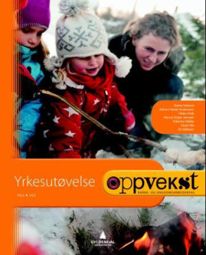 Oppvekst - Yrkesutøvelse, Barne- Og Ungdomsarbeiderfag, Vg2, Vg3 ...