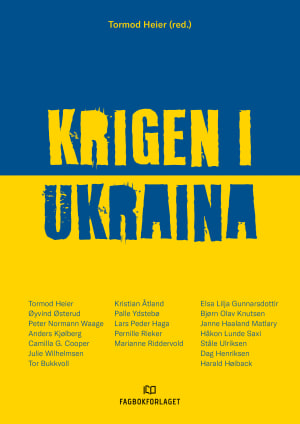 Krigen i Ukraina, e-bok