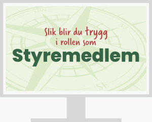 Styremedlem