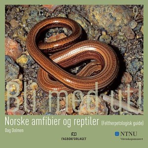 Norske amfibier og reptiler (Feltherpetologisk guide)