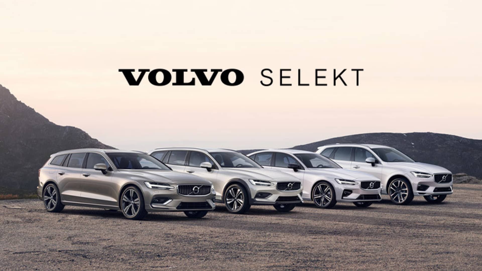 Et valg av Volvo Selekt biler fra Frydenbø Bilsenter på rekke og rad