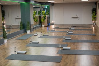 Oasis suite mat setup