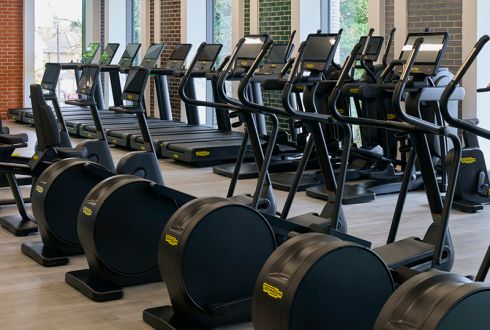 cardio machines in a bright open gym