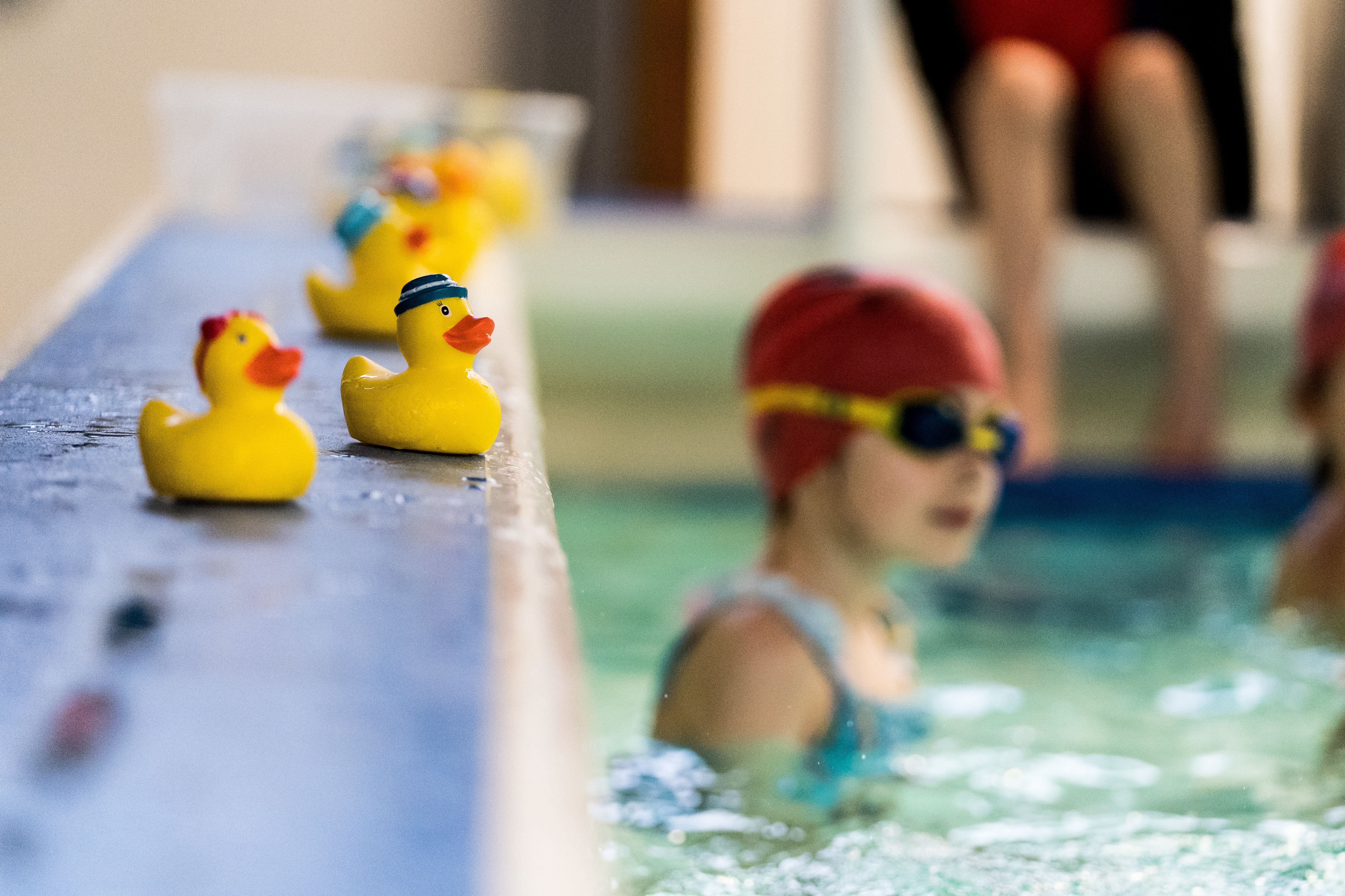 An image of a swimming lesson, with rubber ducks sitting on the poolside