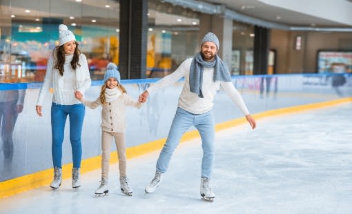 Family skating